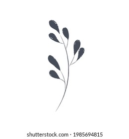 Ink drawn botanical illustration, 
hand drawn floral element 