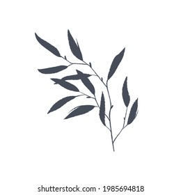 Ink drawn botanical illustration, 
hand drawn floral element 