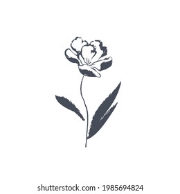 Ink drawn botanical illustration, 
hand drawn floral element 
