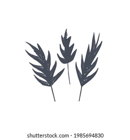 Ink drawn botanical illustration, 
hand drawn floral element 