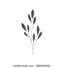 Ink drawn botanical illustration, 
hand drawn floral element 