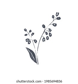 Ink drawn botanical illustration, 
hand drawn floral element 