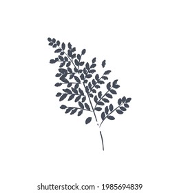 Ink drawn botanical illustration, 
hand drawn floral element 