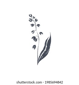 Ink drawn botanical illustration, 
hand drawn floral element 