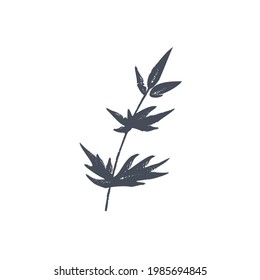 Ink drawn botanical illustration, 
hand drawn floral element 