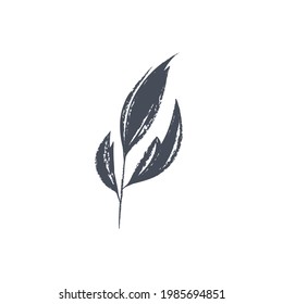Ink drawn botanical illustration, 
hand drawn floral element 