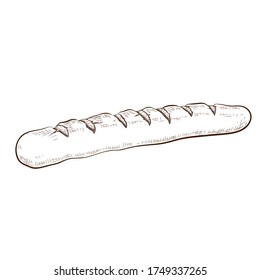 ink drawn bread isolated on white background. traditional french baguette. long wheat loaf doodle icon. Vector sketch in vintage engraving style. illustration for poster, label, menu bakery shop