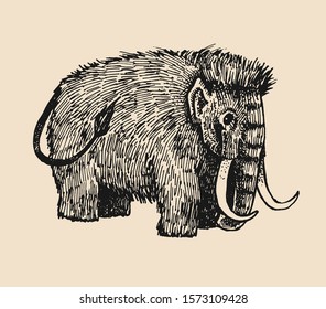 Ink drawn mammoth isolated from background. Ink illustration with mammoth. Prehistoric animal. 