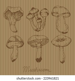 ink drawn mushrooms vector set