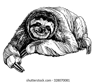 Ink drawn sitting three-toed sloth. Exotic south american animal isolated on white background. Vector picture