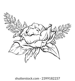 Ink: Floral composition featuring delicate open rose flowers fern and rose leaves. Decorative foliage in a simple monochromatic style. for cards, coloring, prints, posters, and textile printing