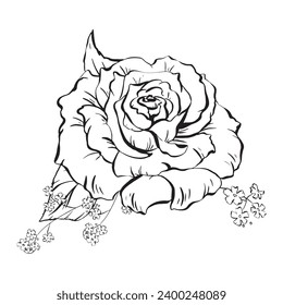 Tinte: Blumenkomposition mit feinen, offenen Rosenblumen und Waldland vergessene-me-nots. Wildblumen und Rosenblätter. Eine stilvolle Illustration für Kartenfarbdrucke, Poster und Stoffdruck