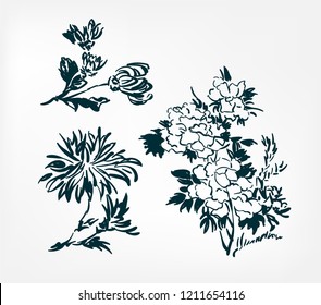 ink flower vector sketch illustration japanese chinese oriental line art design elements 