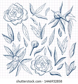 ink free hand drawn peonies collection. Pencil sketch of flower and leaves on sheet of paper. flower, buds, branches and leaves of peony big set.Various engraved peony outline graphic in vintage style