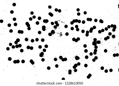 Ink grunge drops texture. Black hand drawn splashes and stains on white background.