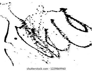 Ink grunge drops texture. Black hand drawn splashes and stains on white background.