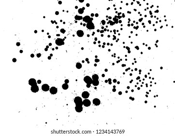 Ink grunge drops texture. Black hand drawn splashes and stains on white background.