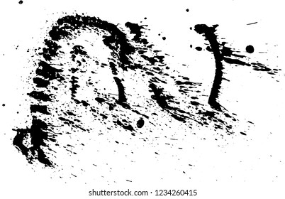 Ink grunge drops texture. Black hand drawn splashes and stains on white background.