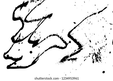 Ink grunge drops texture. Black hand drawn splashes and stains on white background.