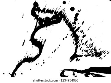 Ink grunge drops texture. Black hand drawn splashes and stains on white background.