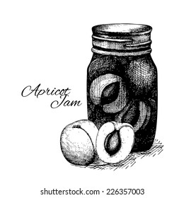 Ink hand drawn apricot jam jar illustration on white background. Harvest autumn illustration