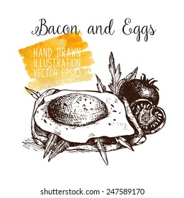 Ink hand drawn bacon and eggs illustration on white background. Breakfast illustration