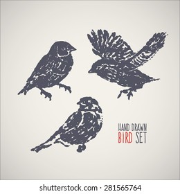 Ink hand drawn bird set