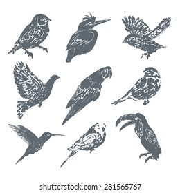 Juego de pájaros dibujado a mano con tinta