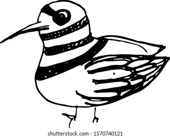 Ink hand drawn bird sketch. Vector outline illusytation