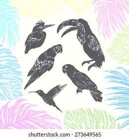 Ink hand drawn birds collection