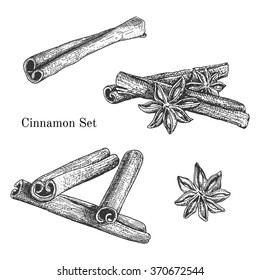 Ink Hand Drawn Cinnamon Set