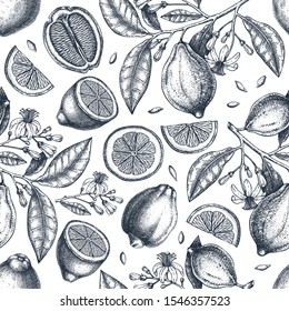 Ink hand drawn citrus fruits backdrop. Vector lemons seamless pattern with citrus fruits, flowers, seeds, leaves, branches sketches. Perfect for packing, greeting cards, invitations, prints. 