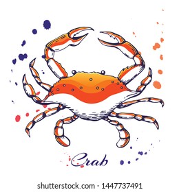 ink hand drawn crab concept for design or decoration. Ink spattered crab illustration. vector red boiled crab drawn in ink. seafood concept with color splashes on white with place for text