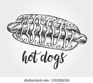 Ink hand drawn Delicious hot dog.  Fast Food elements for menu or signboard design. Vector illustration with brush calligraphy style lettering.