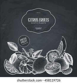 Ink hand drawn design with citrus fruits isolated on chalkboard. Vector illustration of highly detailed exotic plants sketch. Vintage template