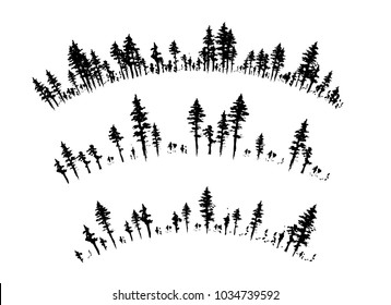 Ink hand drawn forest. Design collection. Arc borders divider