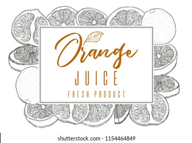 Ink hand drawn frame of orange fruit, black outline. Food element collection. Vintage sketch. Black outline. Vector illustration