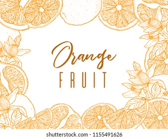 Ink hand drawn frame of orange fruit. Color contour of objects.Food element collection. Vintage sketch. Color label for products, package design Vector illustration