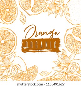 Ink hand drawn frame of orange fruit. Color contour of objects.Food element collection. Vintage sketch. Color label for products, package design Vector illustration