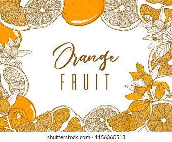 Ink hand drawn frame of orange fruit. Food element collection. Vintage sketch. Color label for products, package design Vector illustration