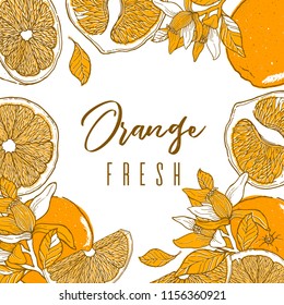 Ink hand drawn frame of orange fruit. Food element collection. Vintage sketch. Color label for products, package design Vector illustration