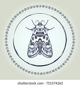 Ink hand drawn moth in circle. Vector illustration for your design, t-shirt, scrap-booking