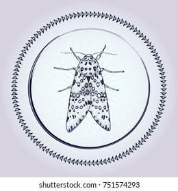Ink hand drawn moth in circle. Vector illustration for your design, t-shirt, scrap-booking