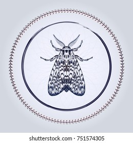 Ink hand drawn moth in circle. Vector illustration for your design, t-shirt, scrap-booking