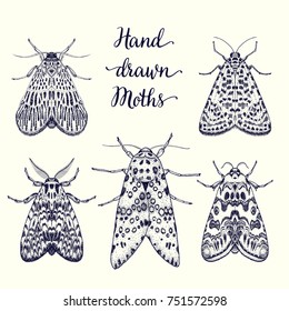 Ink hand drawn moth set. Vector illustration