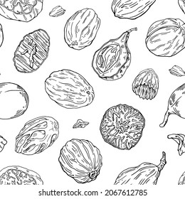 Patrón sin fisuras dibujado por la mano de la tinta Nutmeg. Rama, nueces, brotes y hojas. Elegante ilustración vectorial en blanco y negro. Especias exóticas. Textura sin fin. Fondo botánico