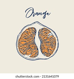 Ink hand drawn of orange fruit. Food element collection. Vintage sketch