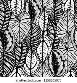 Ink hand drawn seamless pattern with exotic plants leaves