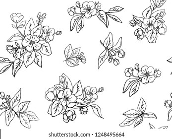 Ink hand drawn seamless pattern. Apple flowers and leaves for design. White background. Line art