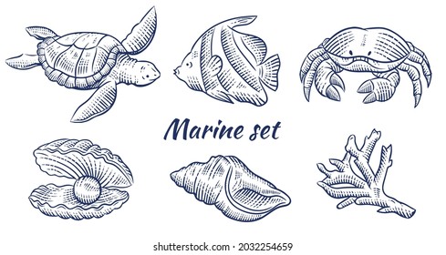 Ink hand drawn set of marine. Turtle, crab, fish, seashell, coral. Vector illustration.